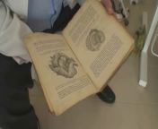 Виктория Роуз осмотр с зеркалом
