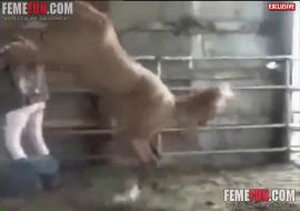 Конь изнасиловал мужика в жопу
